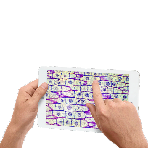 EduPad-2 sa 8-inčnim tabletom i 2.0 MP mikroskopskom USB-2 kamerom