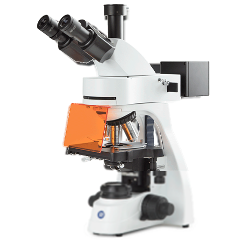 bScope Trinokularni Mikroskop za LED Fluorescenciju